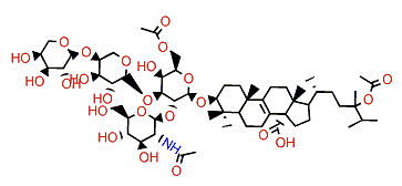 Eryloside W2